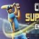 Cricket Super Sixes Challenge - Friv 2019 Games
