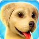 Paw Puppy Kid Subway Surfers Runner - Friv 2019 Games