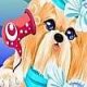 Groom That Puppy 2 - Friv 2019 Games